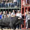 Hospitalizan a un hombre tras una aparatosa cogida en una suelta de vaquillas en Valencia