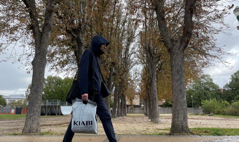 Houilles : crispations autour de l’abattage d’une cinquantaine de marronniers du parc