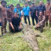 Huge crocodile kills fisherman and keeps body in jaws as it's shot five times