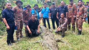 Huge crocodile kills fisherman and keeps body in jaws as it's shot five times