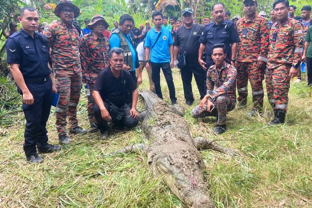 Huge crocodile kills fisherman and keeps body in jaws as it's shot five times