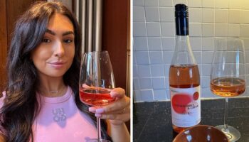 'I tried Aldi's new strawberries and cream wine - fans of nostalgic sweet will be shocked'