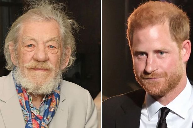 Ian McKellen says he’s ‘definitely’ on Prince Harry’s side amid Royal feud