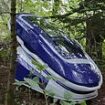 Inside the first Sarco pod suicide: US woman 'almost immediately pressed the button as she lay down and looked up at the trees and sky… then lost consciousness in two minutes and died after five'