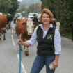 Irate driver leaves farmer stunned with bizarre reaction to cows crossing road