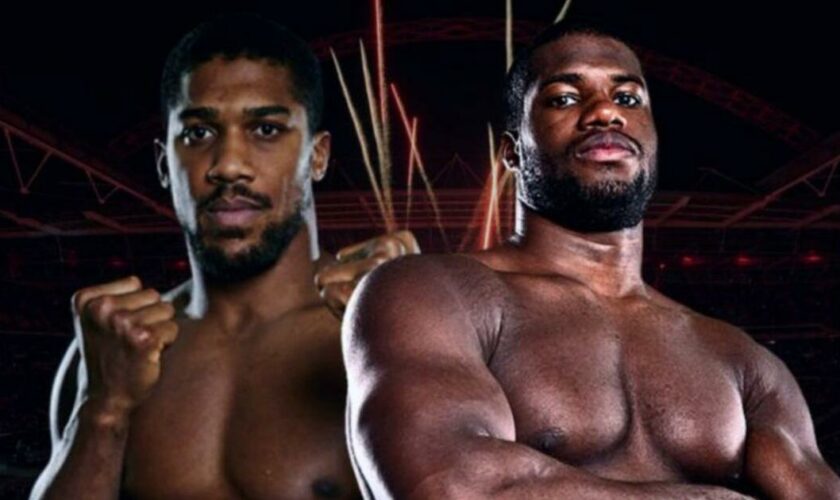 Joshua vs Dubois streaming : regardez le combat de boxe en direct grâce à ce bon plan ultime