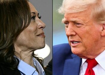 Kamala Harris oder Donald Trump? Dieser Professor will schon wissen, wer gewinnt