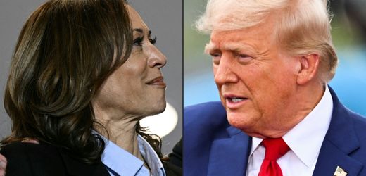 Kamala Harris oder Donald Trump? Dieser Professor will schon wissen, wer gewinnt