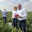 La Junta abonará antes del 15 de octubre 6,1 millones a las organizaciones de productores de frutas y hortalizas