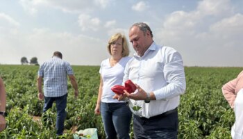 La Junta abonará antes del 15 de octubre 6,1 millones a las organizaciones de productores de frutas y hortalizas