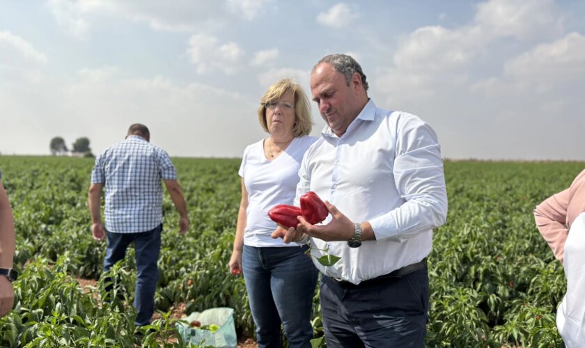 La Junta abonará antes del 15 de octubre 6,1 millones a las organizaciones de productores de frutas y hortalizas