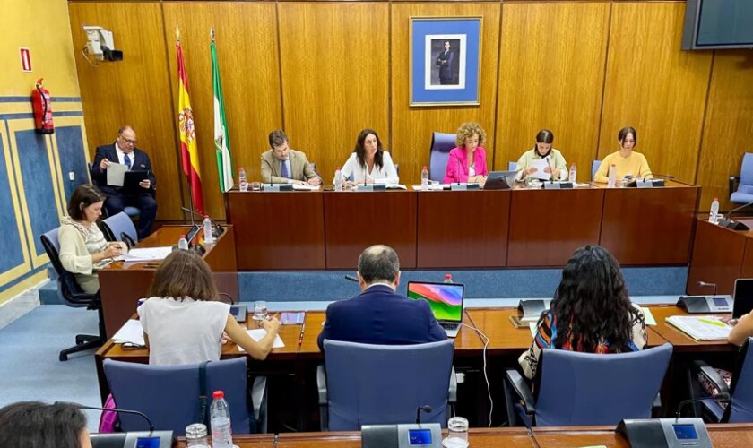 La Junta de Andalucía anuncia la creación de 60 puestos de trabajo para agilizar los plazos en la valoración de la discapacidad