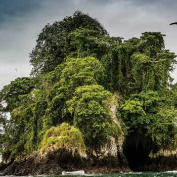 La jungle du Pacifique, perle de nature vierge le long du littoral colombien