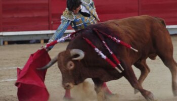 La torería de Curro Díaz cautiva en Bargas