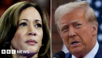 Largest US labour union declines to endorse either Harris or Trump