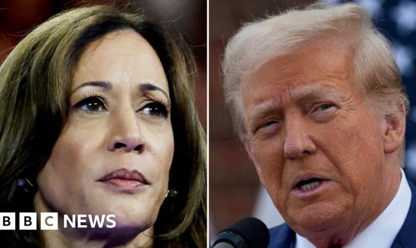 Largest US labour union declines to endorse either Harris or Trump