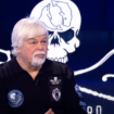 Le Japon affirme que la chasse au Paul Watson est uniquement dans un but scientifique