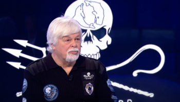 Le Japon affirme que la chasse au Paul Watson est uniquement dans un but scientifique