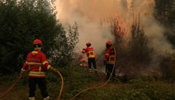 Le Portugal continue de se battre contre de violents feux de forêt