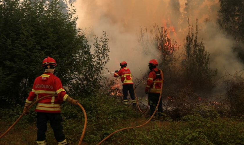 Le Portugal continue de se battre contre de violents feux de forêt