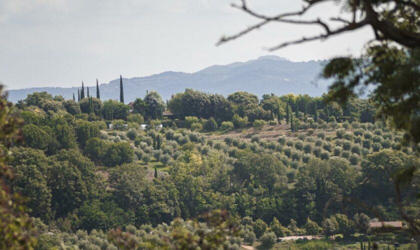 « Le nombril de l’Italie» : dans les jardins extraordinaires d'Ombrie