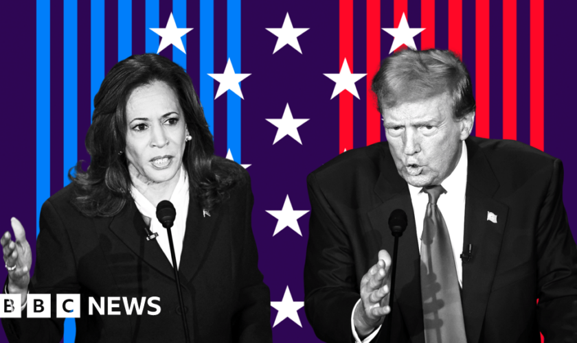 'Left-wing lunatic' and 'a disgrace': How Trump and Harris describe each other