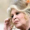 Les 90 ans de Brigitte Bardot : « J'en ai marre de cet anniversaire ! C’est du harcèlement... »