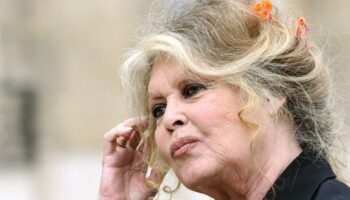 Les 90 ans de Brigitte Bardot : « J'en ai marre de cet anniversaire ! C’est du harcèlement... »