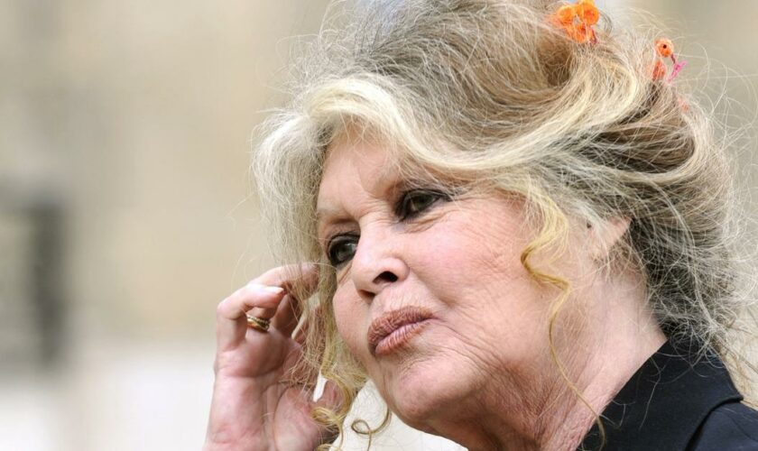 Les 90 ans de Brigitte Bardot : « J'en ai marre de cet anniversaire ! C’est du harcèlement... »