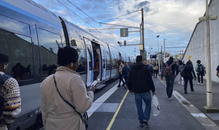 Ligne nouvelle Paris-Normandie : dans les Yvelines, les élus veulent mobiliser les habitants contre le projet