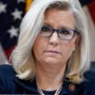 Liz Cheney: Republikanerin unterstützt Kamala Harris als klares Signal gegen Donald Trump