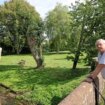 Locals fear neighbour will turn village green into his garden thanks to loophole