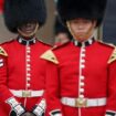 London: Preis für Bärenfellmützen der königlichen Garde des Buckingham Palastes explodiert