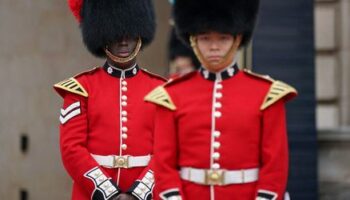 London: Preis für Bärenfellmützen der königlichen Garde des Buckingham Palastes explodiert