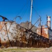 Lost Places in Südgeorgien: Am Ende der Welt: Die verlassene Walfangstation Grytviken