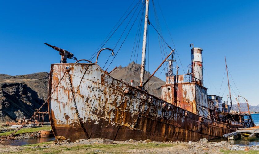 Lost Places in Südgeorgien: Am Ende der Welt: Die verlassene Walfangstation Grytviken