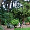 Loto du patrimoine : le jardin Georges Delaselle de l’île de Batz, ravagé par la tempête Ciaran, va retrouver des couleurs