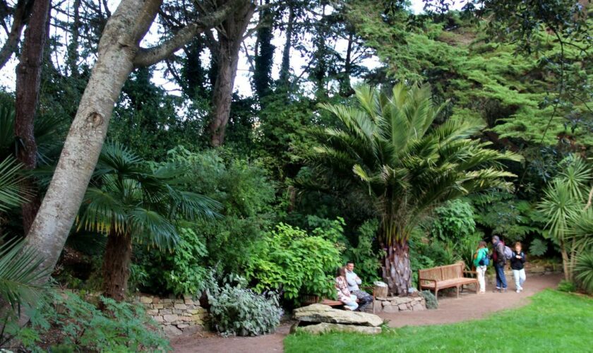 Loto du patrimoine : le jardin Georges Delaselle de l’île de Batz, ravagé par la tempête Ciaran, va retrouver des couleurs