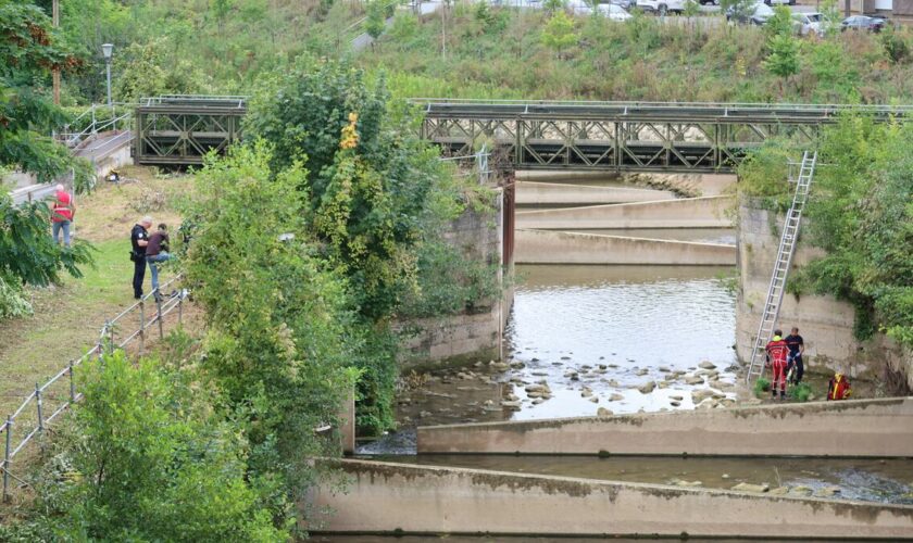 Meaux: un élagueur fait une chute de 6 mètres dans la passe à poissons presque vide