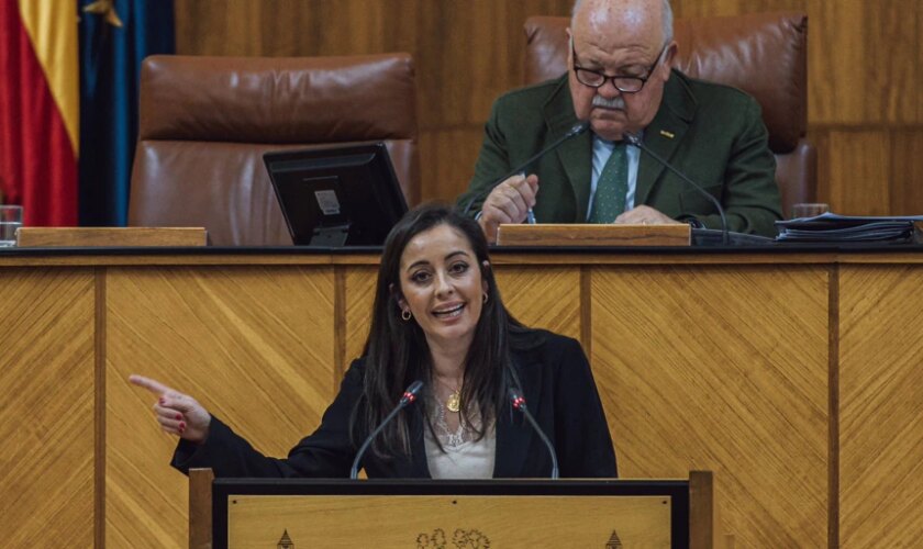 Mercedes Rodríguez Tamayo dimite como parlamentaria andaluza de Vox para centrarse en la «familia»