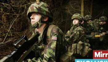 Ministers to review medical rules for armed forces recruits to tackle recruitment crisis