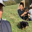 Moment sacked BBC star Jermaine Jenas' dog reacts to comeback message - after he revealed family pet was 'disappointed' over sex-texts scandal