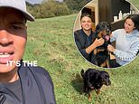 Moment sacked BBC star Jermaine Jenas' dog reacts to comeback message - after he revealed family pet was 'disappointed' over sex-texts scandal