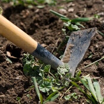 Monty Don warns gardeners 'start digging' now to prepare for cold months ahead