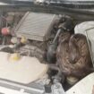 Motor im Würgegriff: Mann findet XXL-Python in seinem Auto