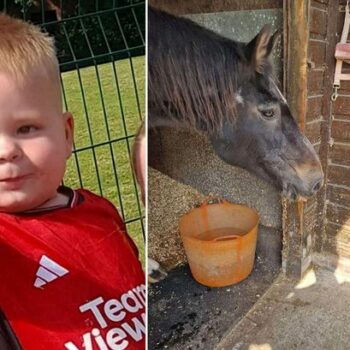 Mum learned two-year-old son was dying in horror phone call after she popped out for 20 minutes