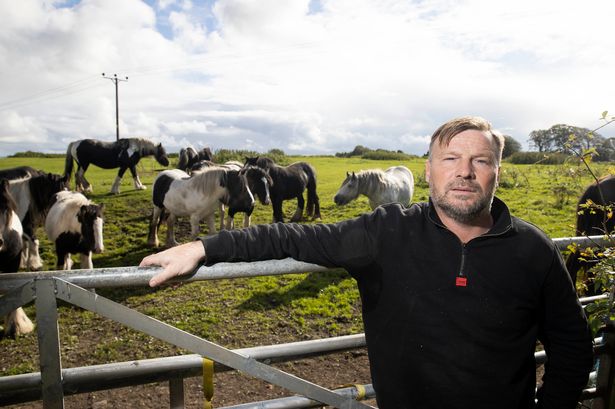 'My son's devastated after his pony died when workmen made one massive mistake'