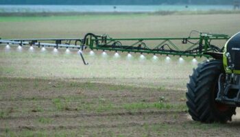 Nabu fordert Klimaversicherung für Landwirtschaft