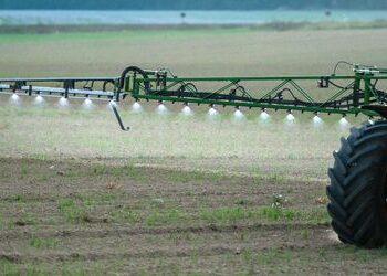 Nabu fordert Klimaversicherung für Landwirtschaft