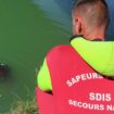 Nemours : une mère et sa fillette de 3 ans se noient dans le Loing